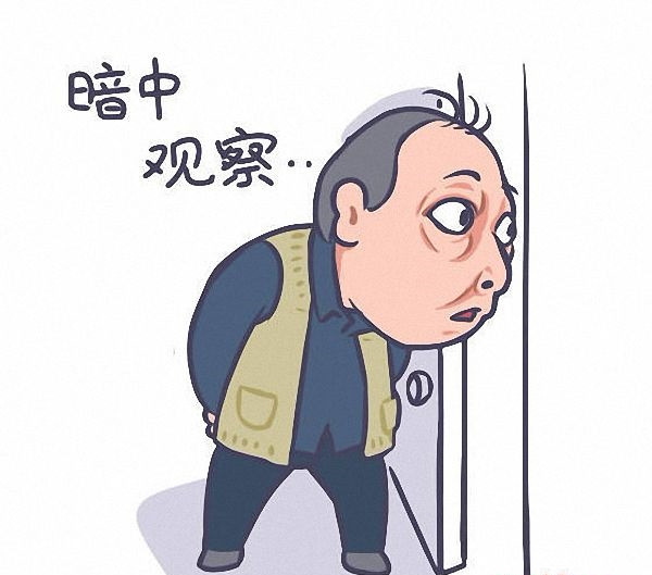 暗中观察.jpg