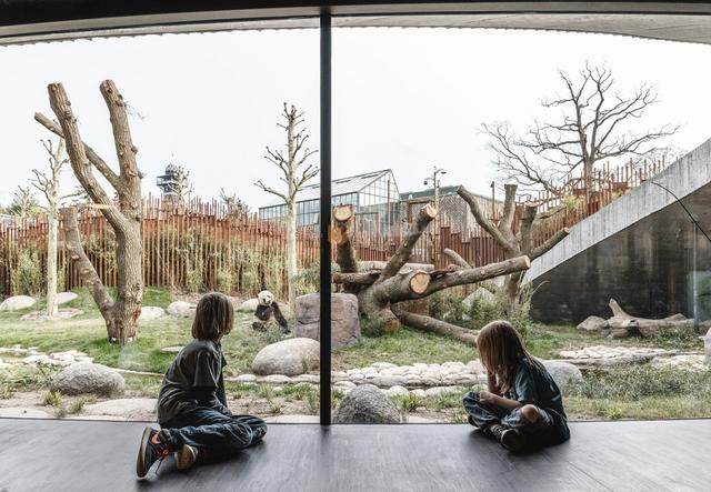 哥本哈根动物园熊猫馆，为中国熊猫创造最自由、最自然的生活环境-15.jpg