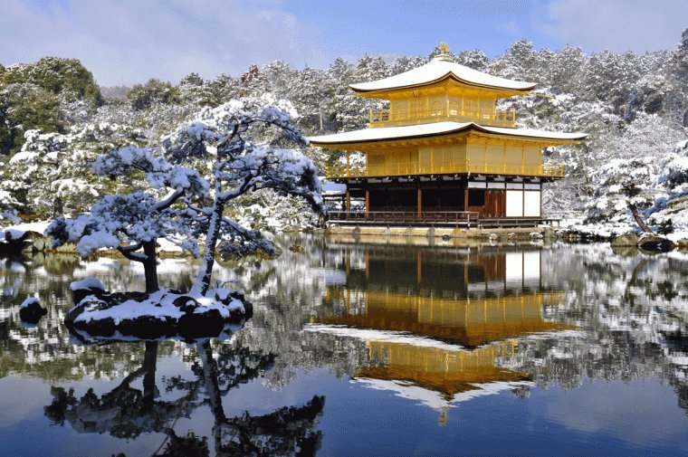 日本最美20个庭院，你更中意哪一个？-68.jpg