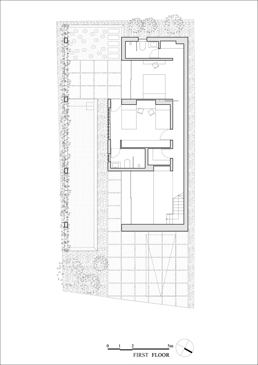 vsszan47762604561741.jpg