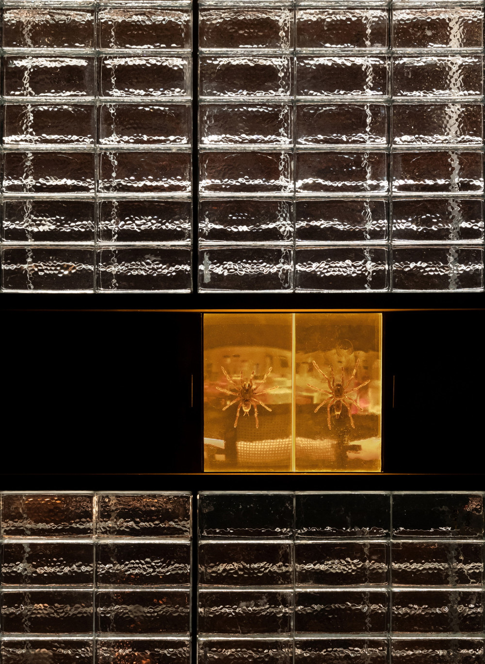 向域设计（Atelier xy）设计 | 上海 J. boroski 酒吧_detail-of-glass-brick-and-spider.jpg