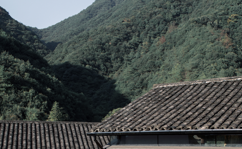 中国杭州 | 桐庐流云乡墅 | 山野间的隐世秘境 | 2021 | MDO | 木君建筑设计