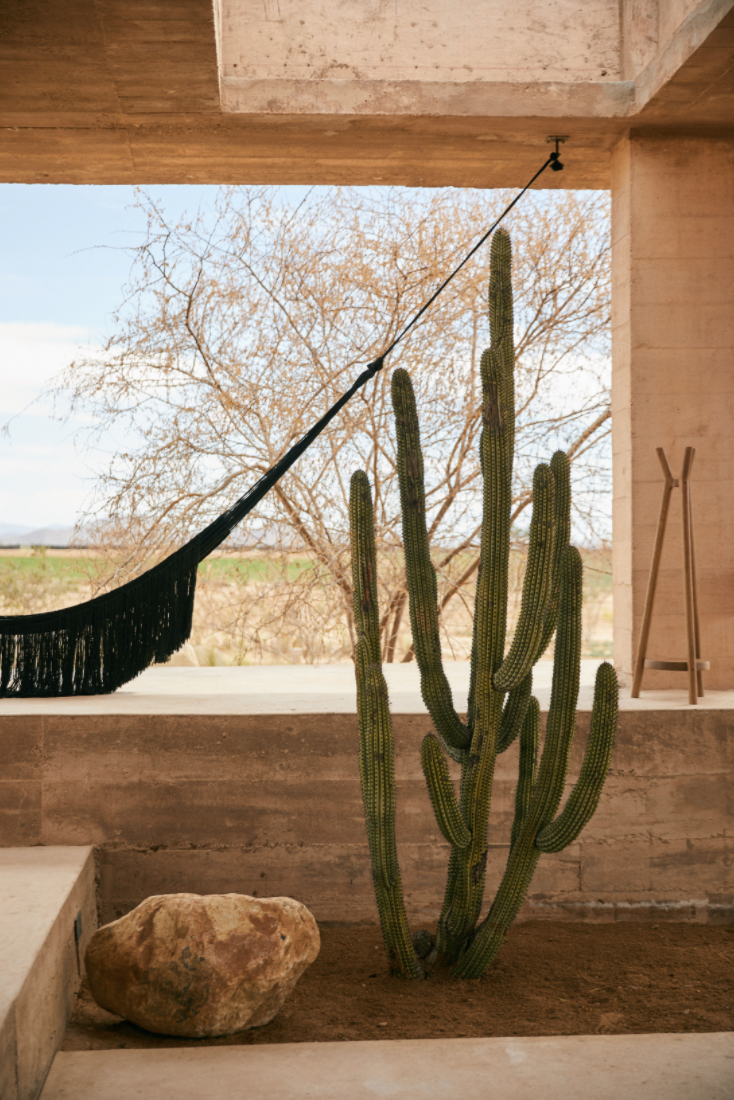 Hotel-Weekend-Barefoot-Luxury-Paradero-Hotel-Mexico-Cactus.png