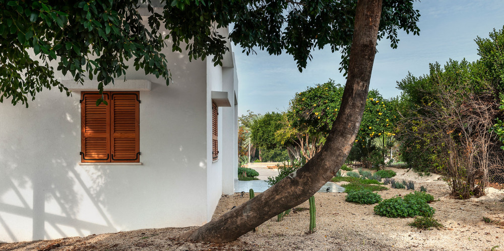 Mediterranean-Cacti-House_1.jpg