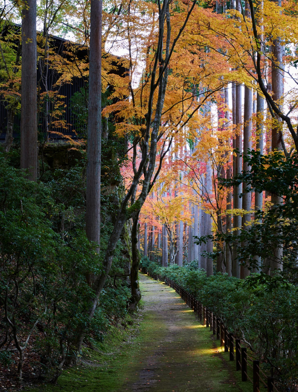 Aman-Kyoto_Experience-Secret-Garden_2.jpg