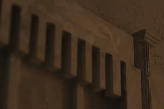 vsszan1936852500241920.gif