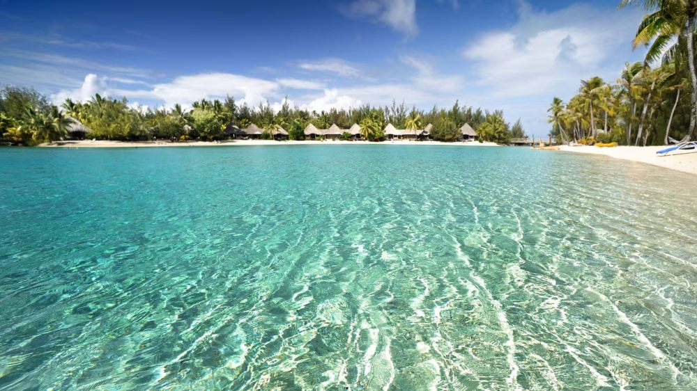 威斯汀波拉波拉岛度假酒店 The Westin Bora Bora Resort & Spa_20240330_223343_521.jpg