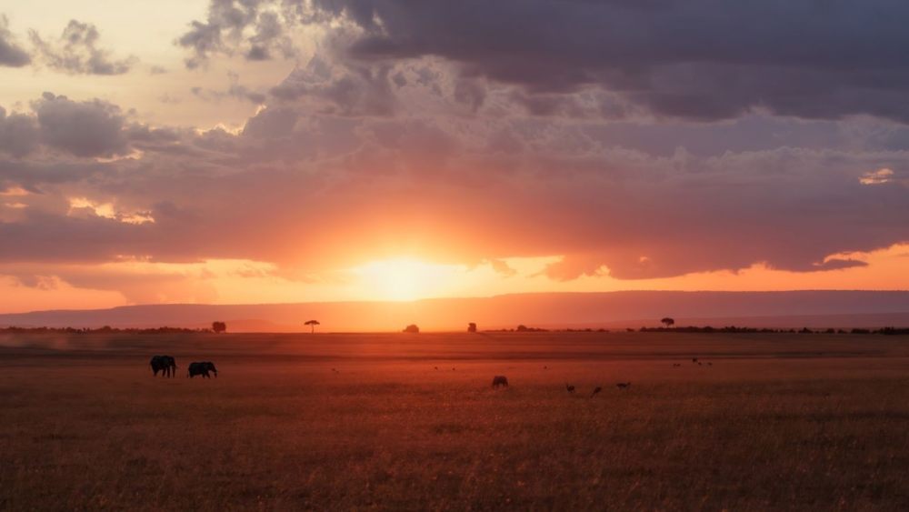 马赛马拉野生动物园旅馆 JW MARRIOTT MASAI MARA LODGE_20240331_220413_146.jpg