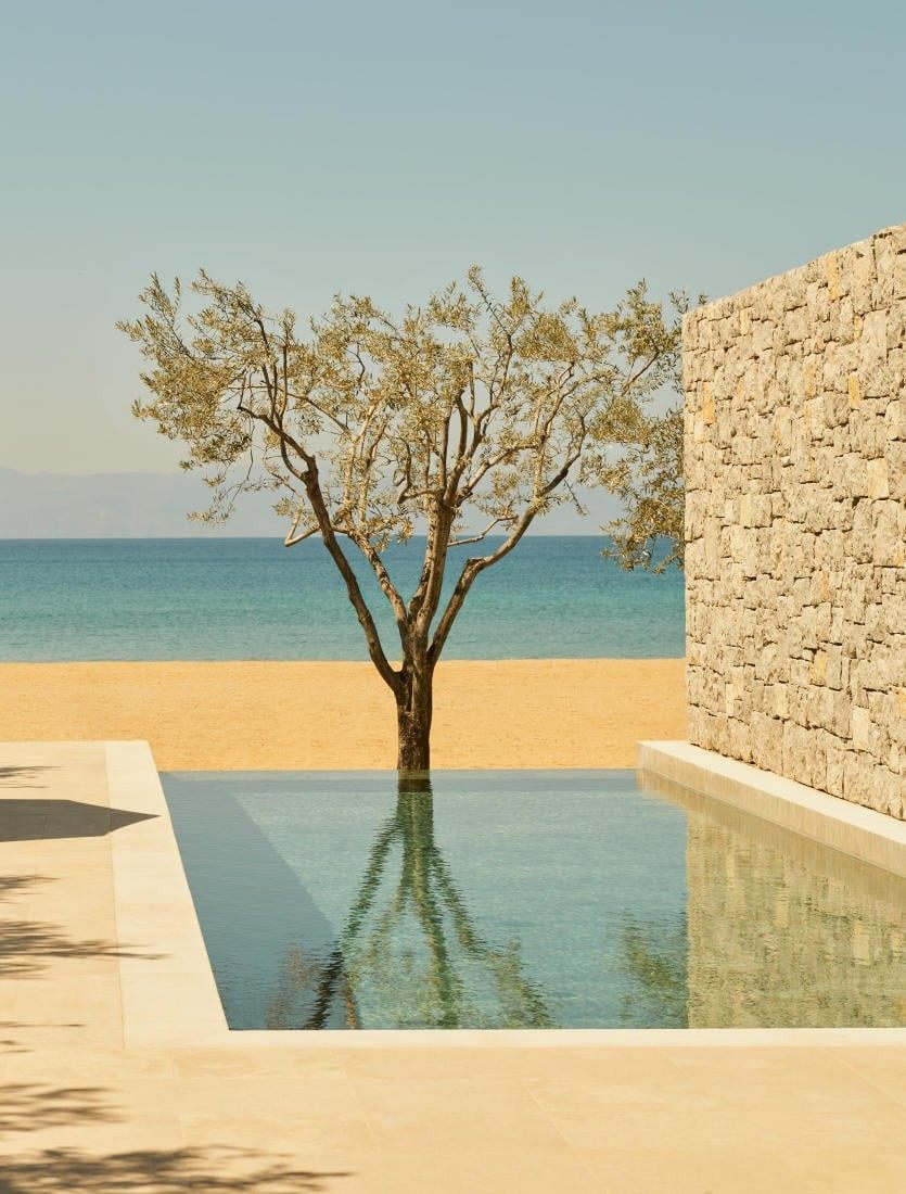 Edward Tuttle-希腊安缦卓熠 Amanzoe_20240429_003451_095.jpg