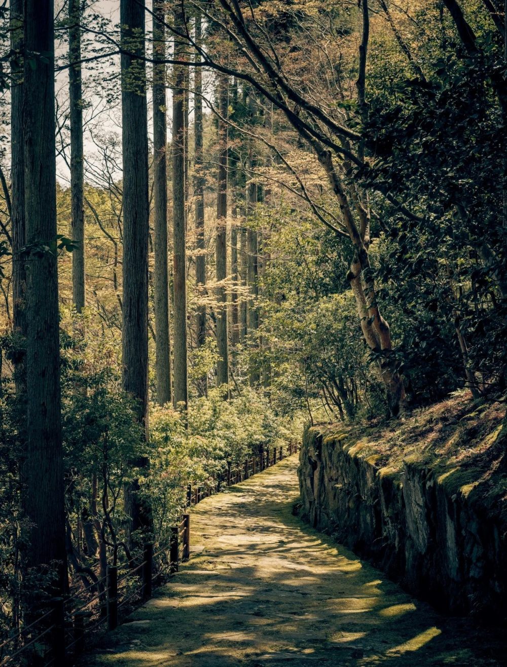 Kerry Hill-安缦京都(官网摄影)   Amankyoto_aman_kyoto_japan_-_resort_forest_pathway.webp.jpg