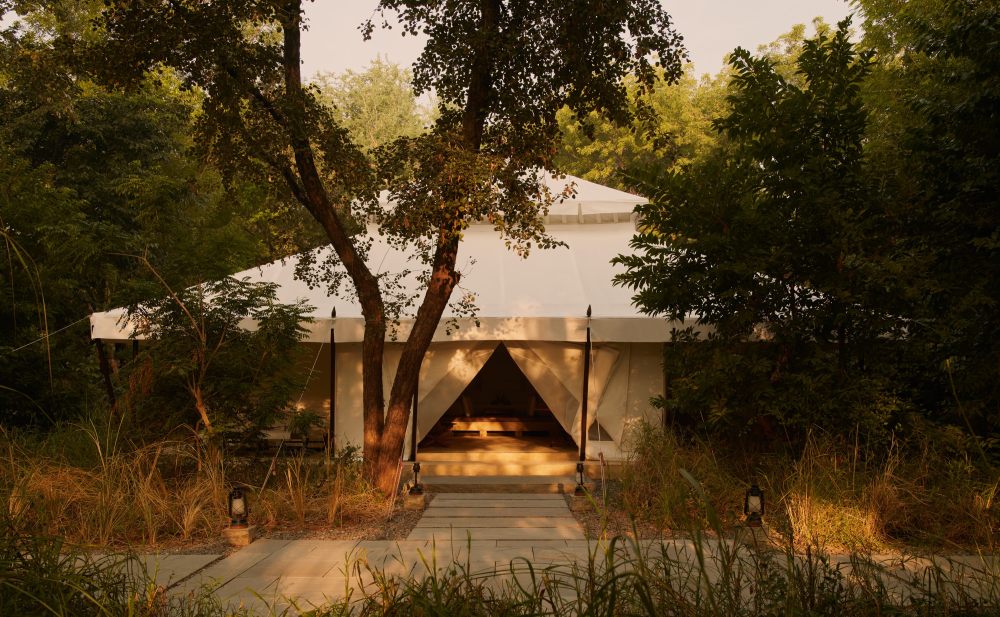 Jean Michel Gathy-安缦印伽 Aman-i-Khás_Aman-i-Khas,India-Accommodation-Tent-Exterior.jpg