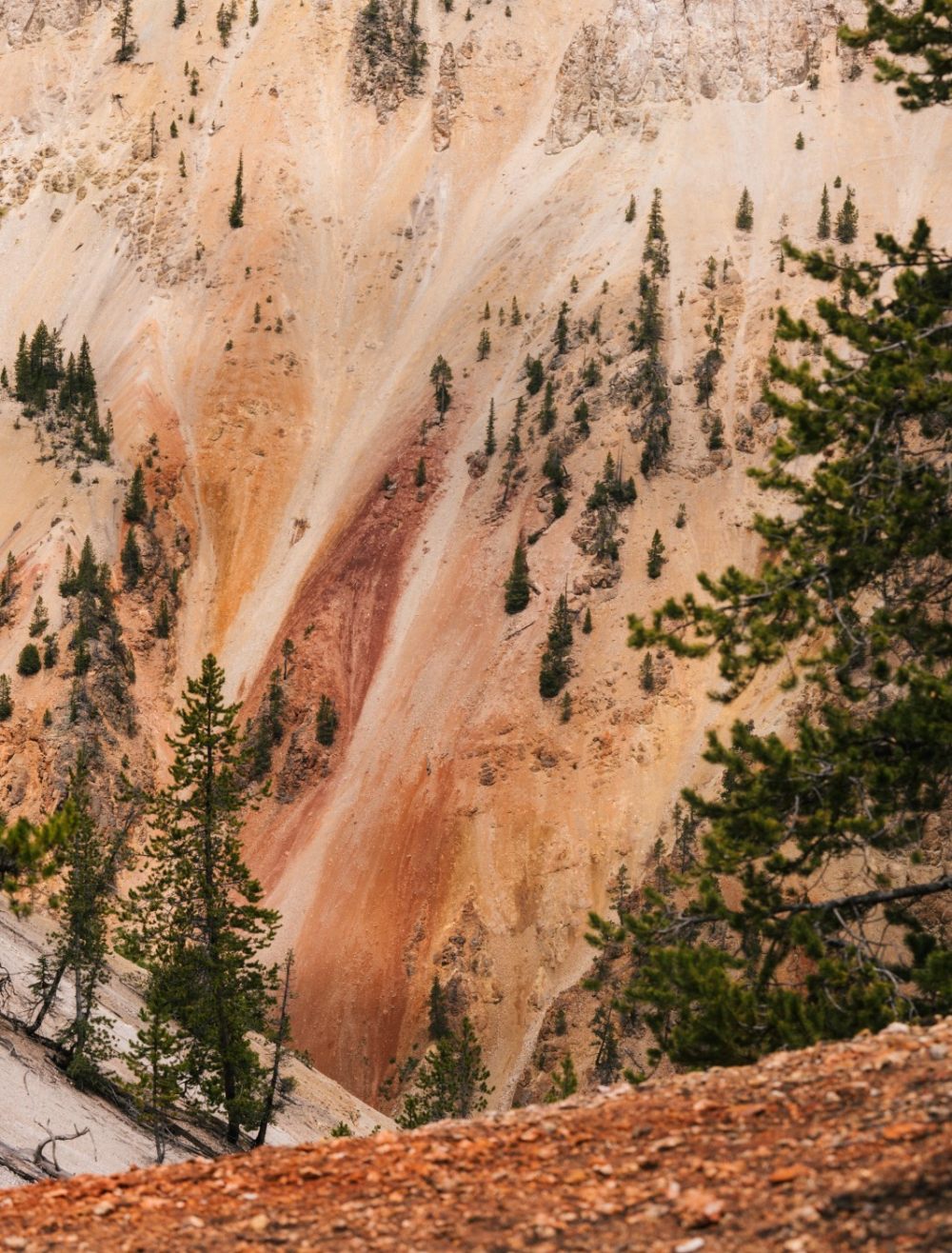 Edward Tuttle-安缦嘉宁 Amangani_amangani_jackson_hole_-_experience_yellowstone_national_park_35.jpg