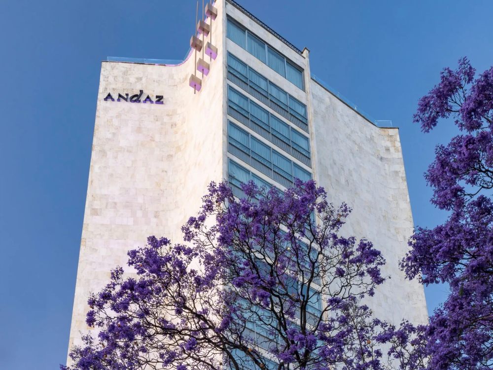 墨西哥城安达仕酒店  Andaz Mexico City Condesa_20240519_153453_1370.jpg