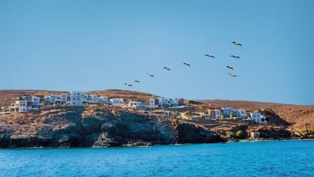 塞梅利海岸米科诺斯度假村 Semeli Coast Mykonos_20240526_142554_1644.jpg