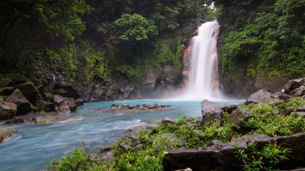 哥斯达黎加W酒店 W Costa Rica Reserva_20240530_220609_1279.jpg