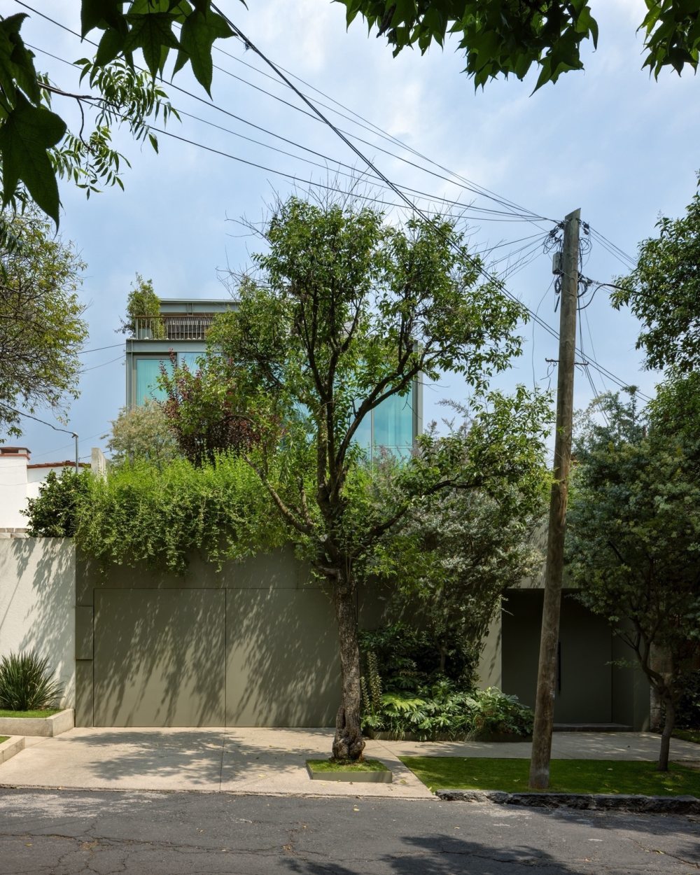 vsszan195426050916382.jpg