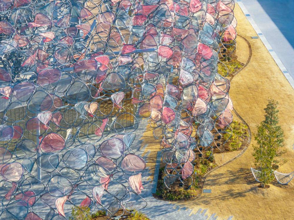vsszan114998081606516.jpg