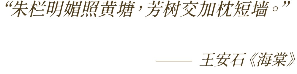 vsszan197977240042563.png