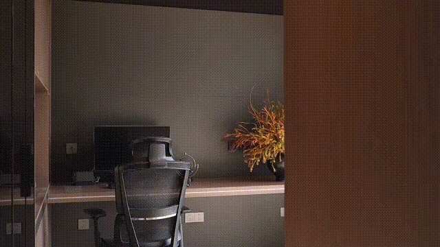 vsszan1981283100314133.gif
