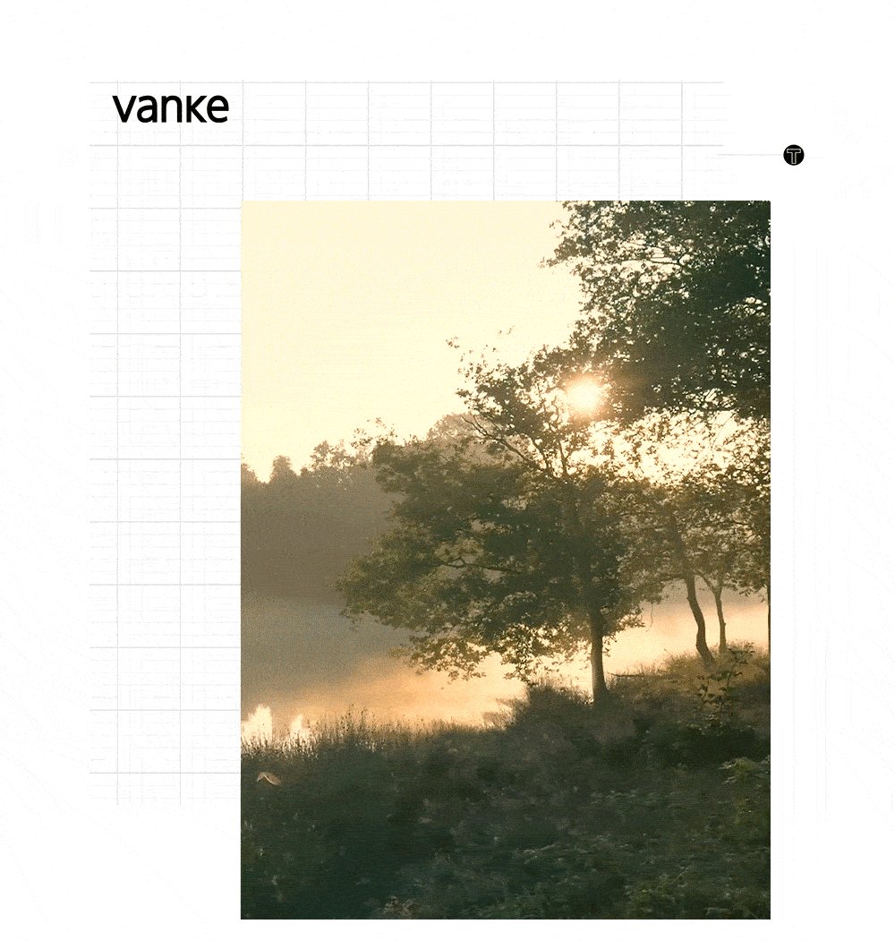 vsszan198666200026508.gif