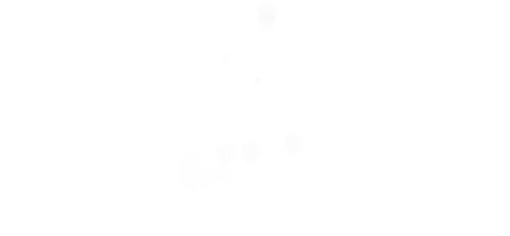 vsszan198937010052331.gif