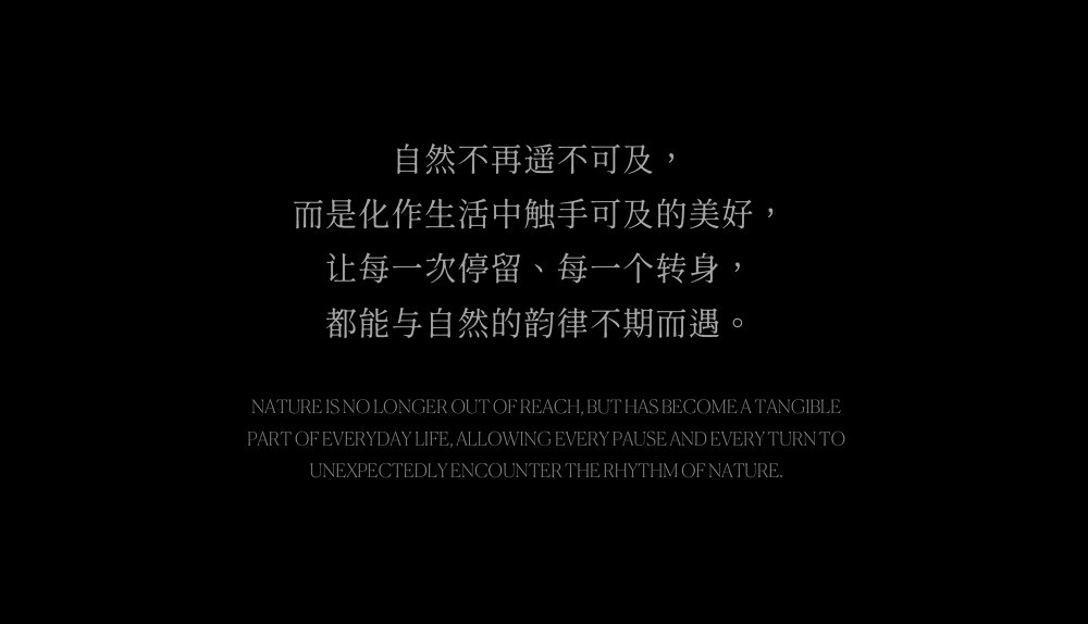 vsszan1990920400335160.png