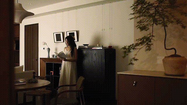 vsszan1992781100084725.gif