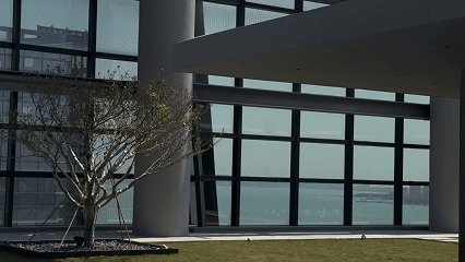 vsszan1996371600592323.gif