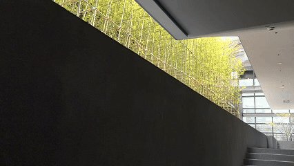 vsszan1996371600592334.gif