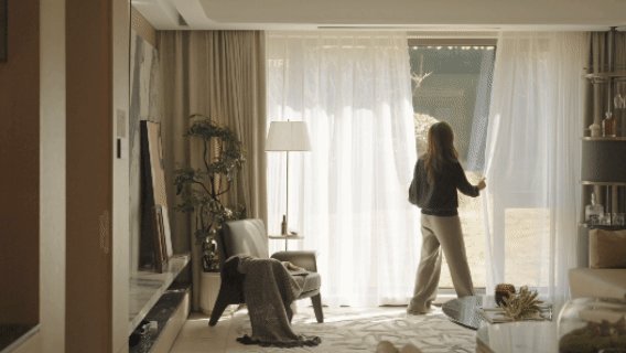 vsszan1996641700282173.gif