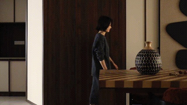 vsszan2002882500333847.gif