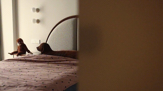 vsszan2002882500333871.gif