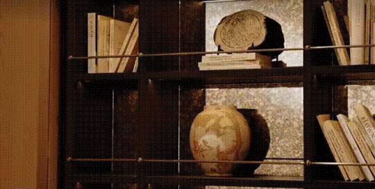 vsszan2004650200145933.gif