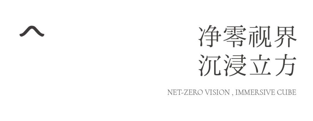 vsszan2005940700391021.png