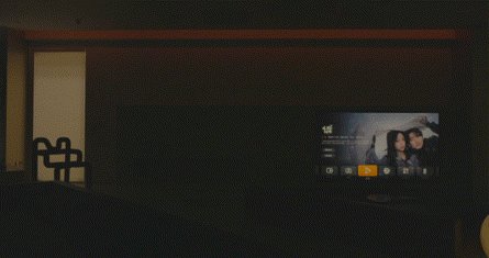 vsszan200758120035378.gif