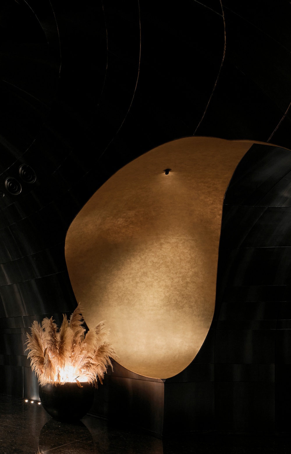 vsszan2010551400361729.png
