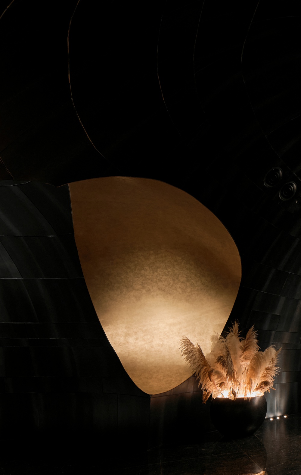 vsszan2010551400361730.png
