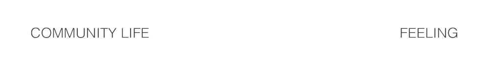 vsszan2011061500100439.png