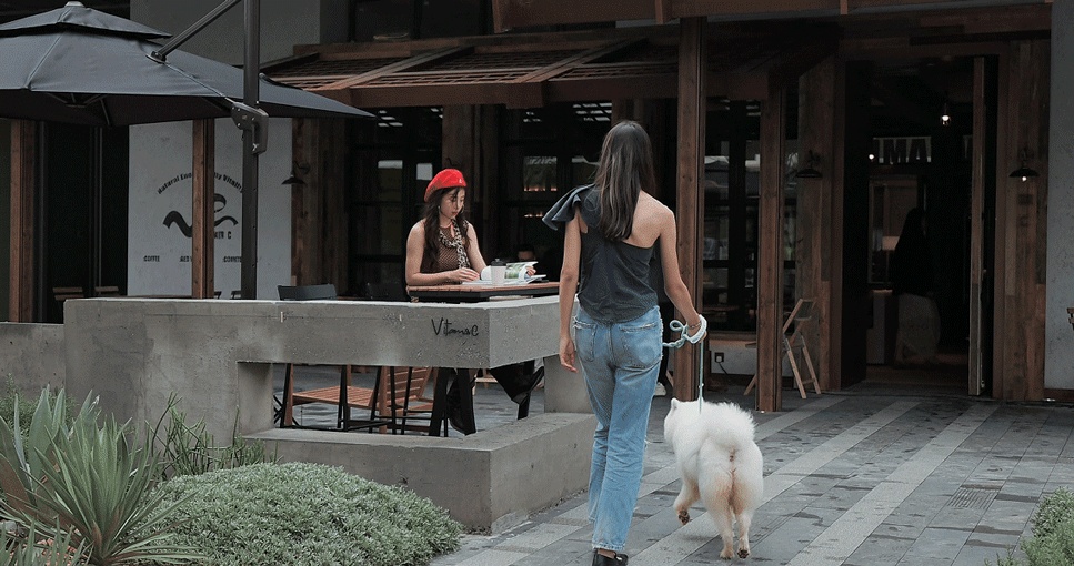 vsszan201106150010045.gif