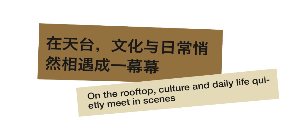 vsszan2011061500100482.png