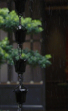 vsszan2019422200190022.gif