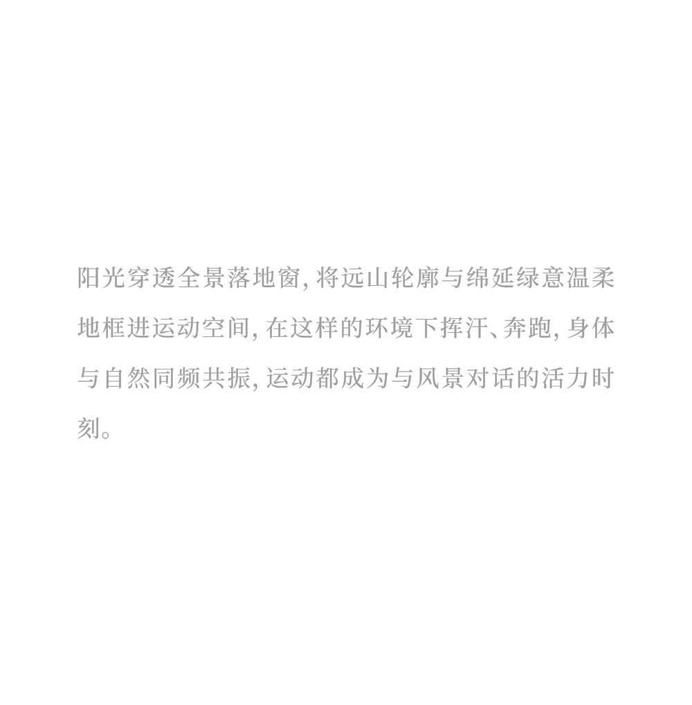 vsszan2023842602474476.png
