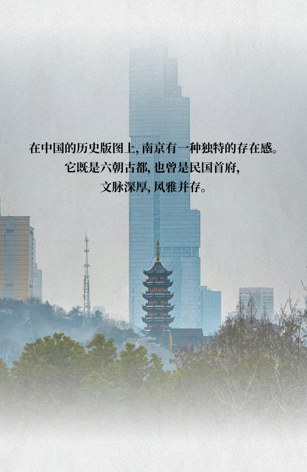 vsszan202886020402442.png