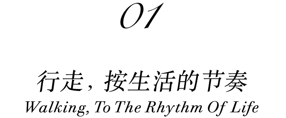 vsszan203531110032306.png