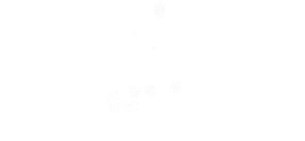 vsszan203586151001531.gif