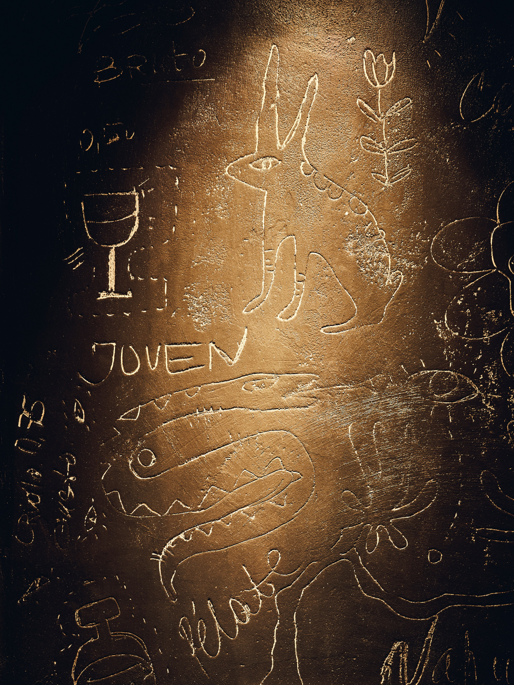 vsszan2036951616310528.jpg