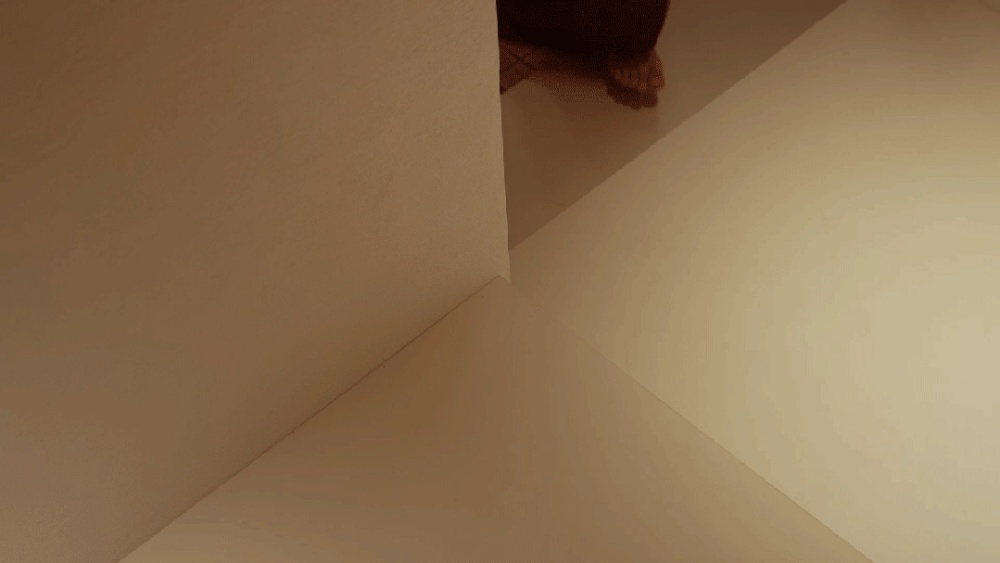 vsszan2037421700413036.gif