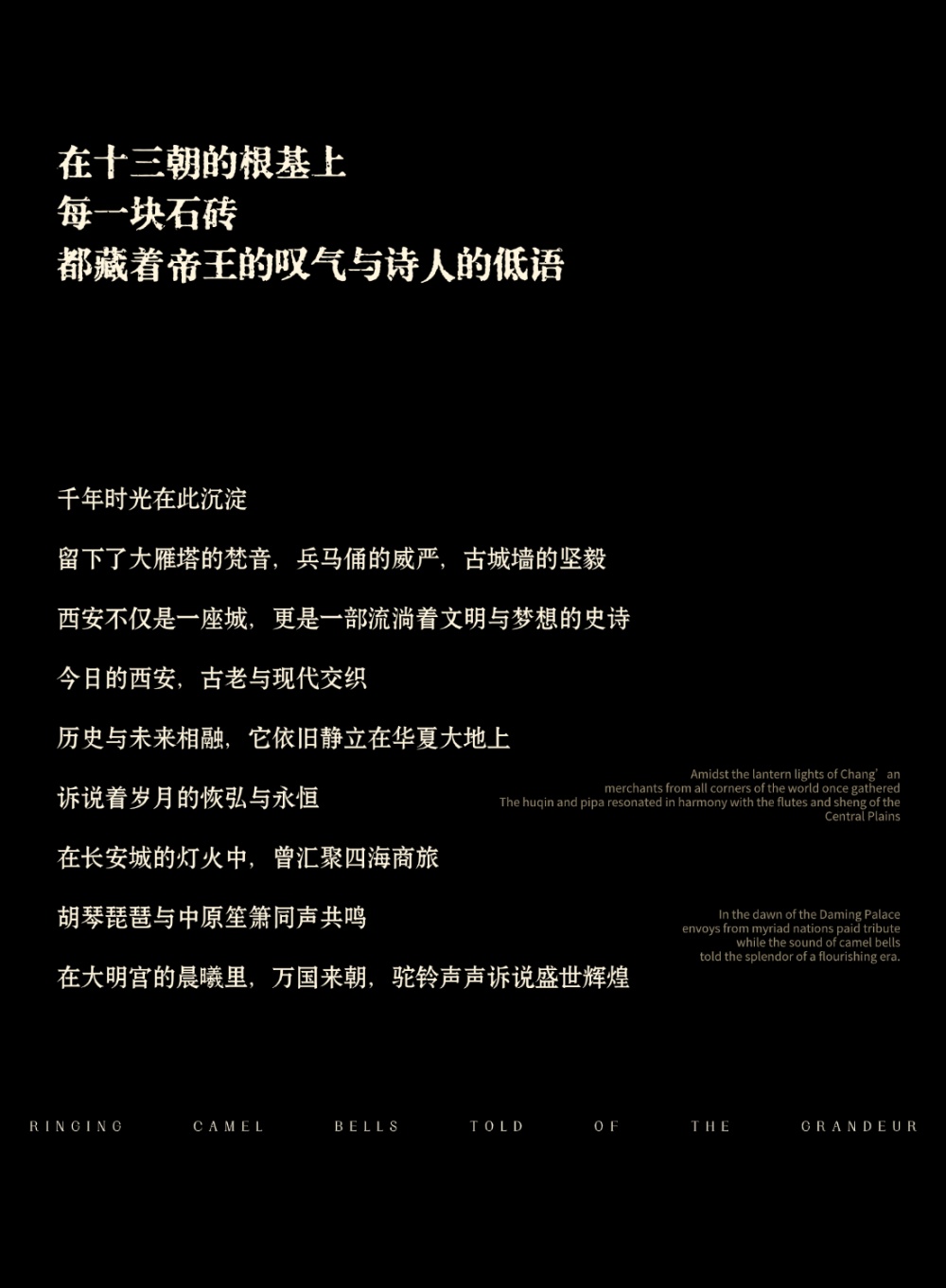 vsszan204490110009002.png