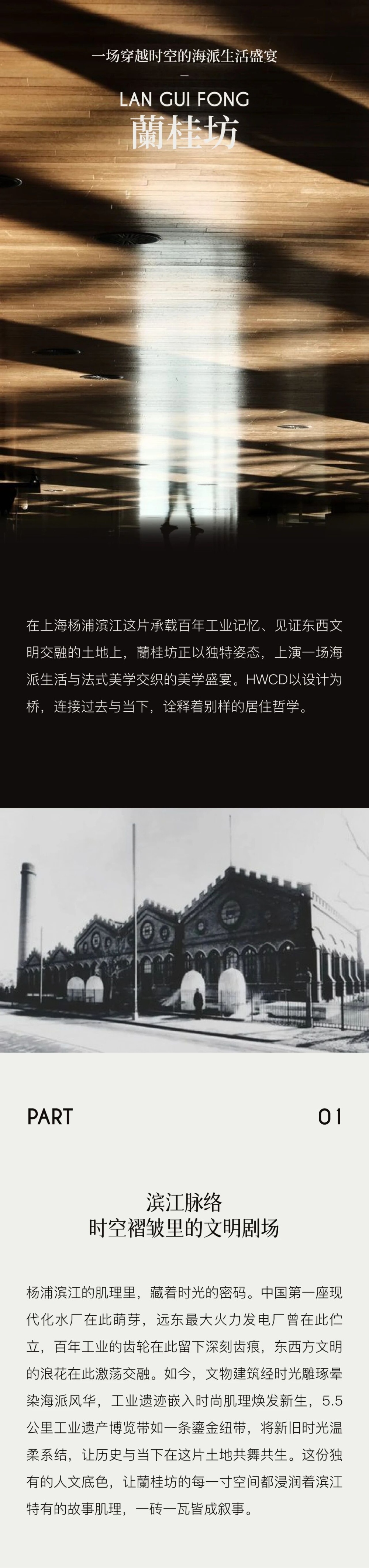 vsszan204555121850051.png