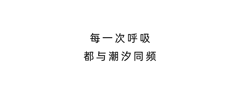 vsszan2046411606375116.png